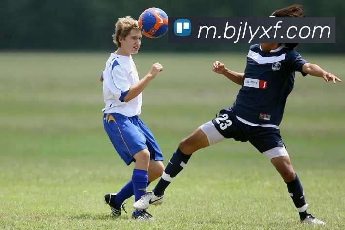 百家乐网站平台生态图