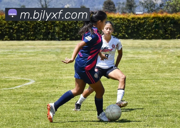 百家乐网站全站App 百家乐网站全站App